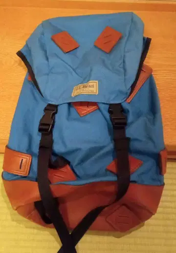 L.L.Bean 파랑 캔버스 가죽 백팩