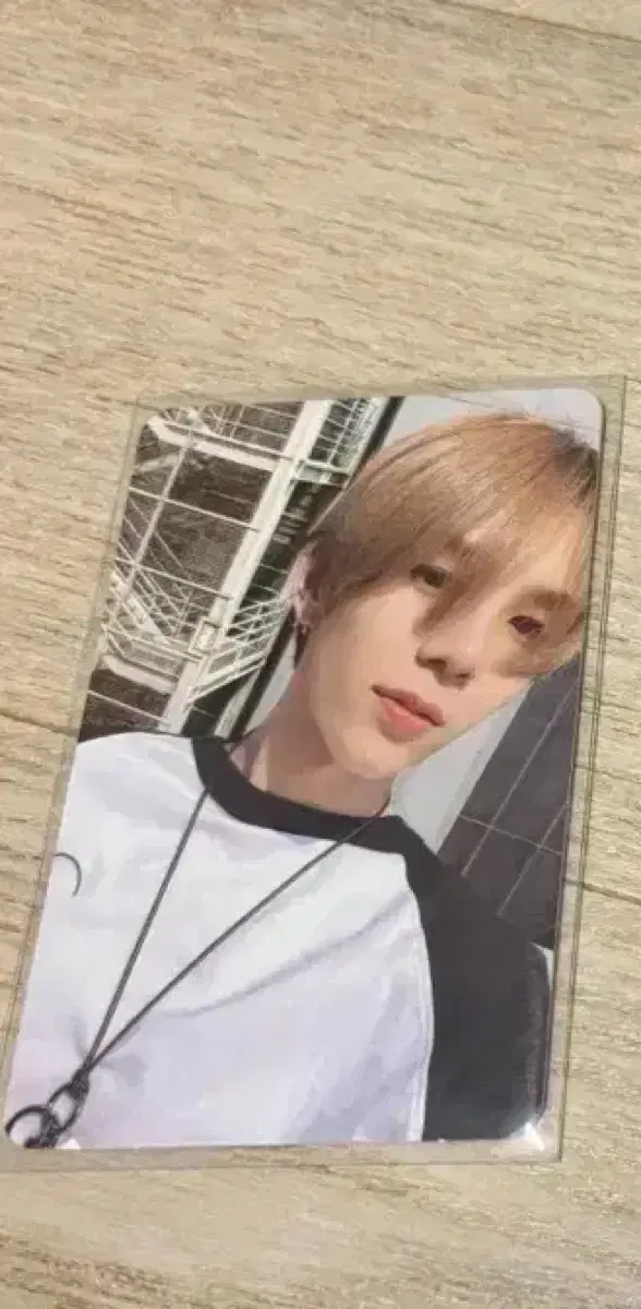 쇼타로 포카 일괄판매
