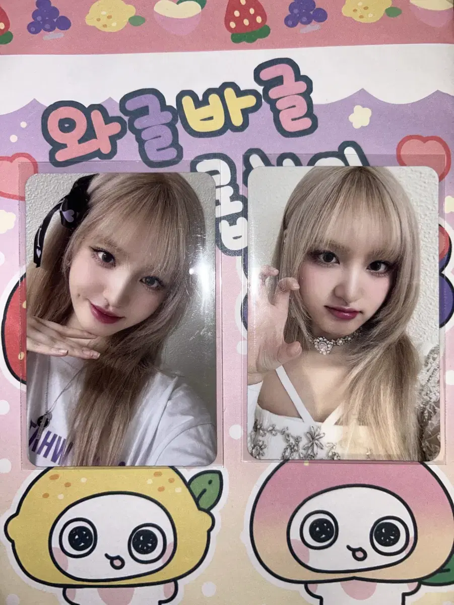 아이브 리즈 포카