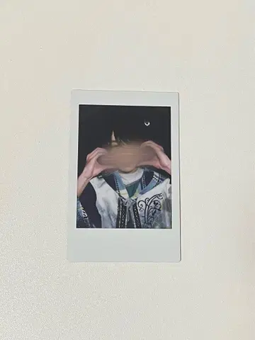 라부시쿠 료 폴라로이드