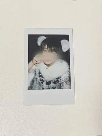 라부시쿠 료 폴라로이드