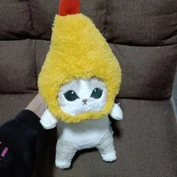 모푸산드 푹파루즈 에비냐