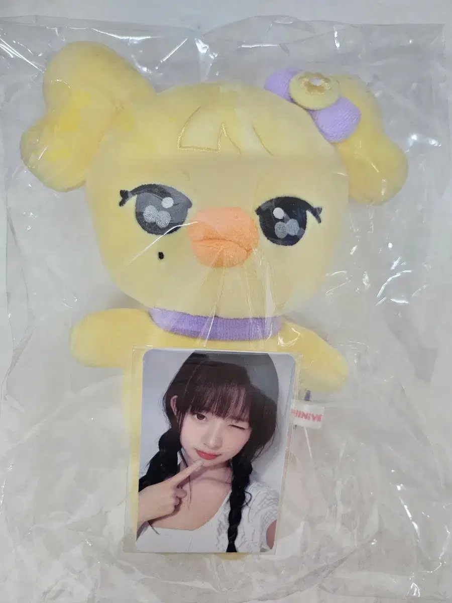 최저가) IVE아이브 MINIVE미니브 나오리 특전 O