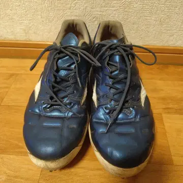 미즈노 파랑 스파이크 28.5cm