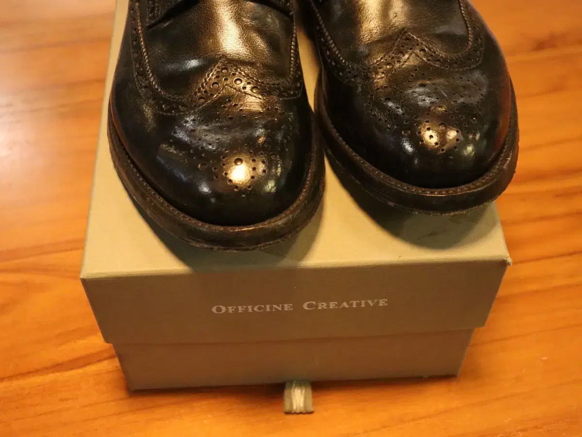 Creative officine 크리아티베 오피치네 077 아나토미아