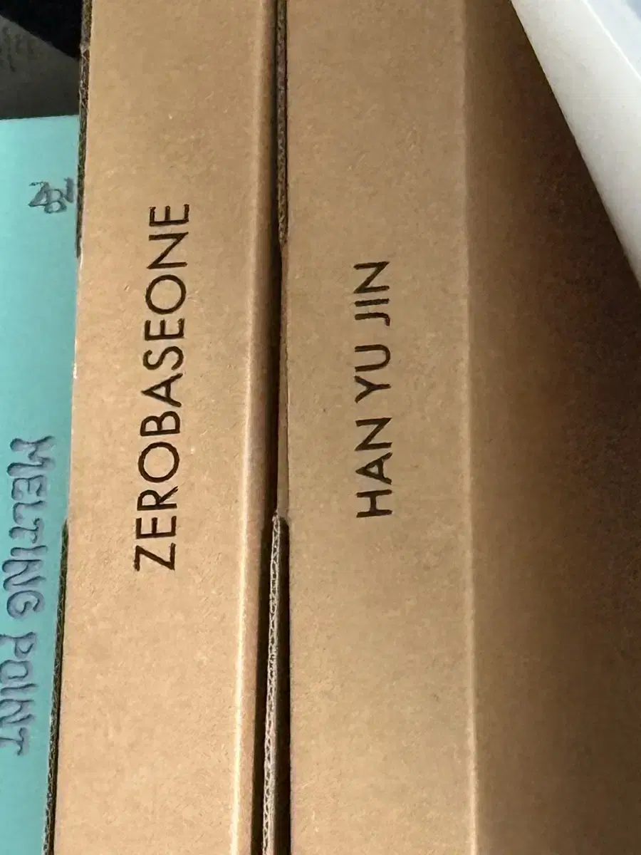 Selling Zerobaseone Ikon