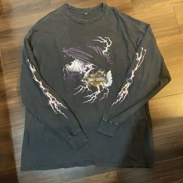HARLEY DAVIDSON 썬더 이글 페이드