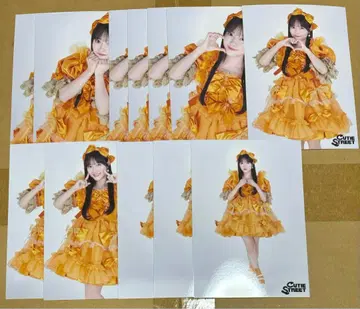 카와모토 에루 브로마이드 12장 세트