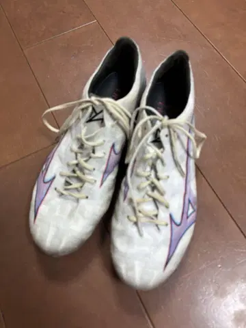 Mizuno 알파 재팬 26.5