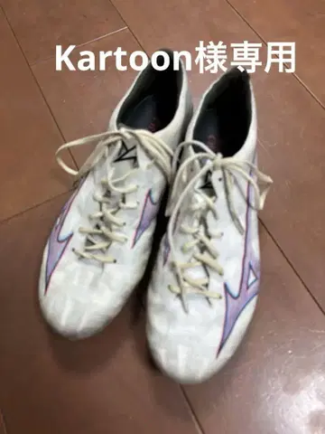 Mizuno 알파 재팬 26.5