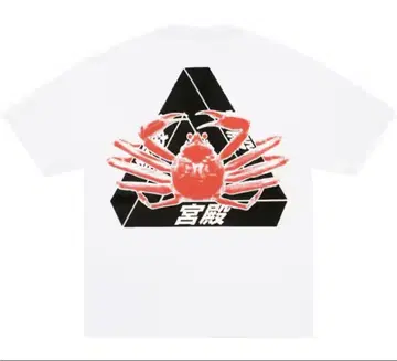 팔라스 오사카 티셔츠 "화이트" 게
