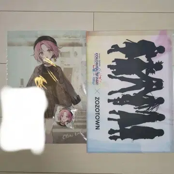 프로세카 호오 ZOZOTOWN 콜라보 묶음 판매