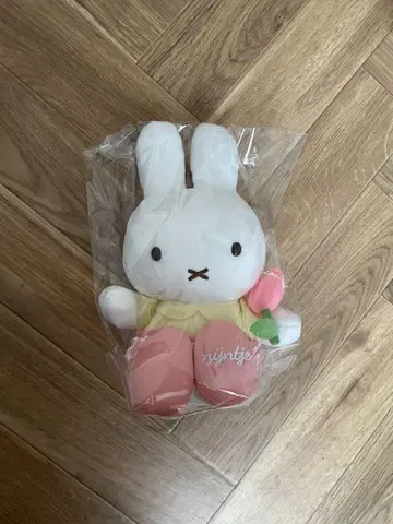 미피 하우스텐보스 블라썸 나인체 튤립 봉제 인형