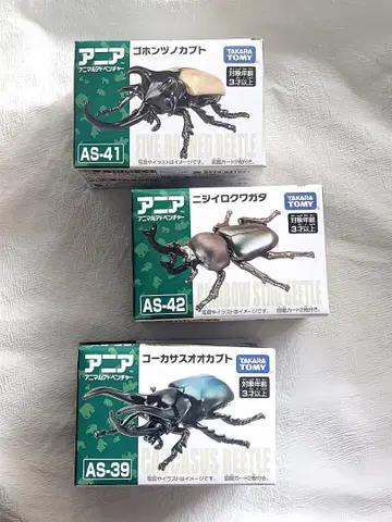 코카서스 오오카부토, 고혼츠노카부토, 니지이로 사슴벌레