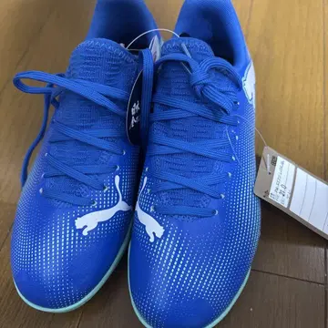Puma 축구화 파랑 21cm