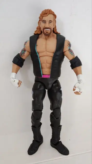 마텔 사판 WWE 프로레슬링 피규어 다이아몬드 다라스 페이지
