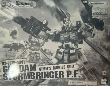 건담 프라모델 MG 1/100 건담 스톰 브링거 P.F.