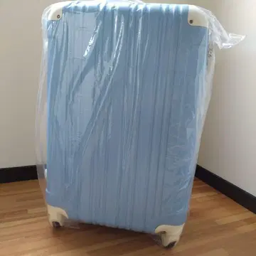 TSA 자물쇠가 포함된 캐리어