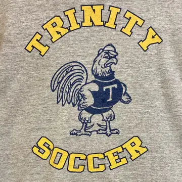 00's 멕시코제 빈티지 티셔츠 SOCCER 그레이 L hanes