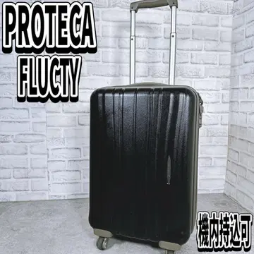 PROTECA 프로테카 프랙티 31L 블랙 기내 반입 TSA 자물쇠