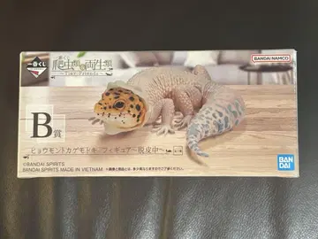 파충류 제일복권 B상 레오파드 도마뱀 탈피 중