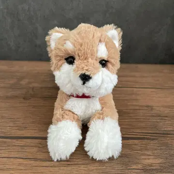 선 레몬 봉제 인형 무릎 강아지 시바견 SS