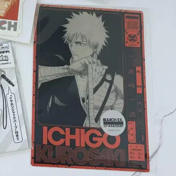 쿠로사키 이치고 블리치 BLEACH 입장 혜택