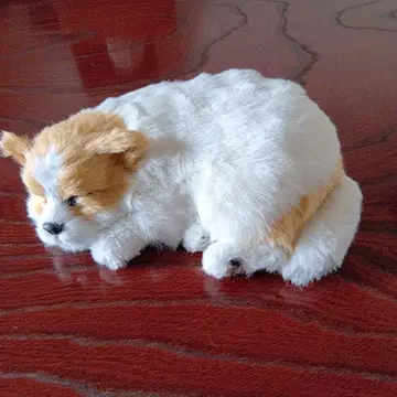치와와 봉제 인형 화이트와 브라운 오브제