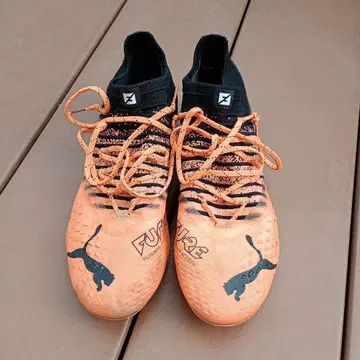 Puma Future FG 축구 스파이크 26cm