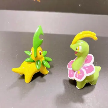 귀중한 메가니움 베이 리프 TOMY 초기 몬코레 레어 레트로