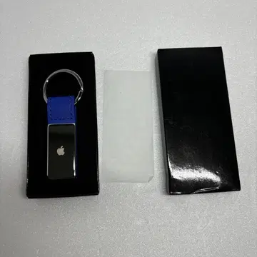 애플 키링 키링