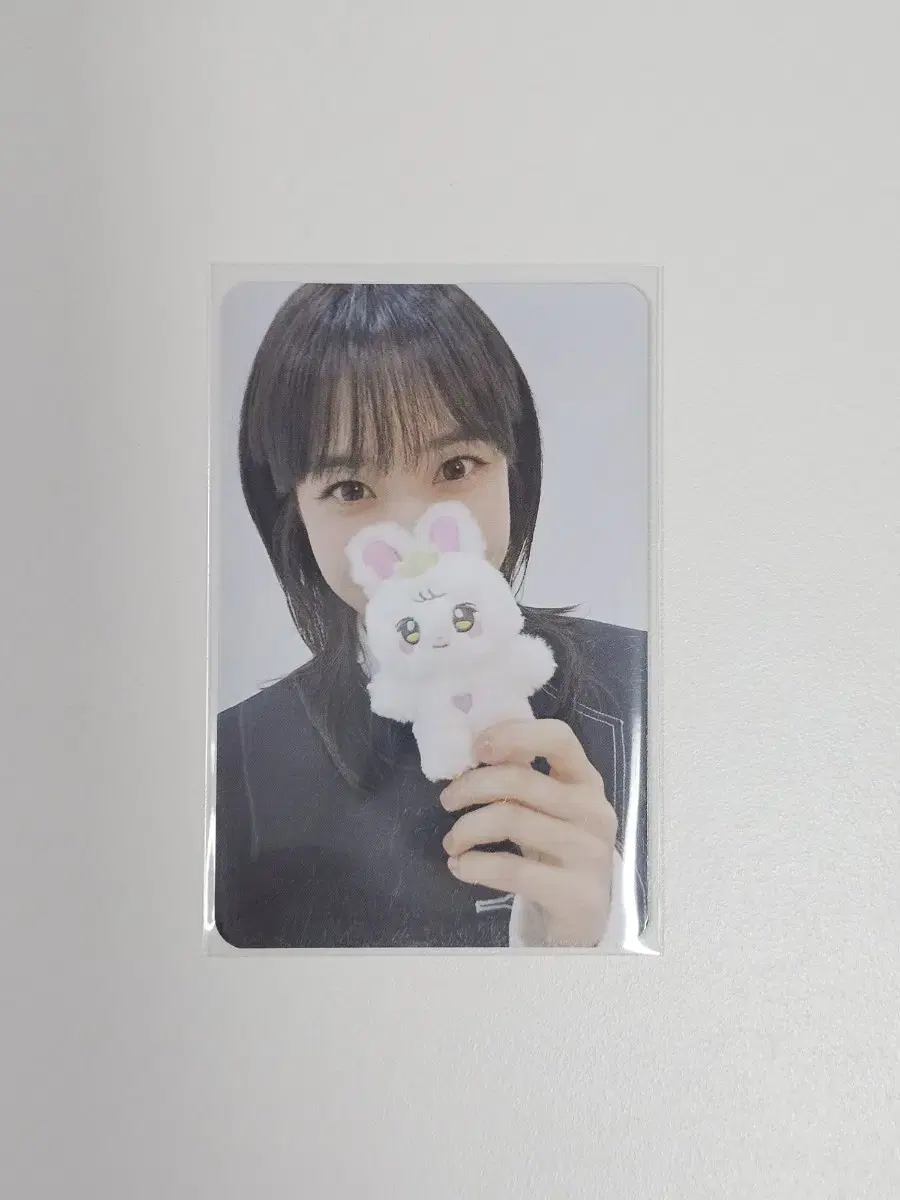 박은빈 비닝이 인형 포카