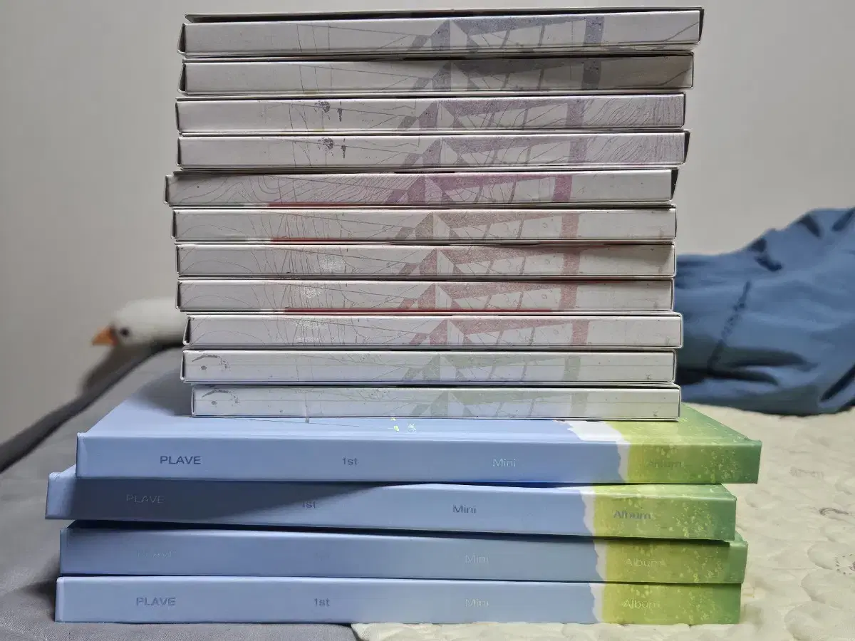 플레이브 앨범