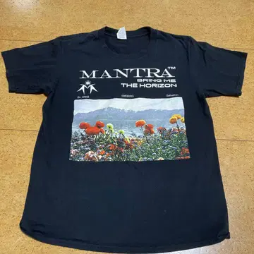 BringMeTheHorizon 썸머 소닉 2019 티셔츠