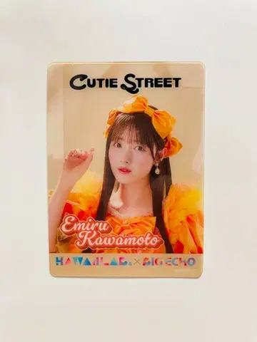 빅 에코 KAWAII.LAB 클리어 카드 카와모토 에루