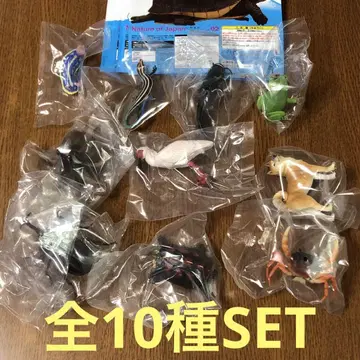 NTC Nature of Japan 일본의 생물 02 전 10종 세트