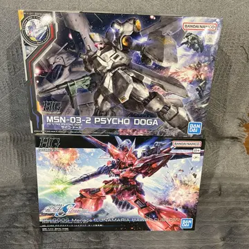 HG 겔구그메나스 사이코도가 2개 세트