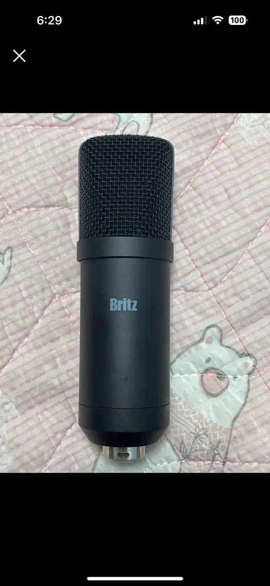 블리츠 콘덴서 마이크 팝니다!
