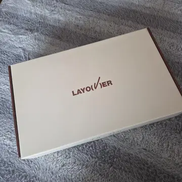 BTS MERCH BOX #17 V 테테 태현 보스턴 백