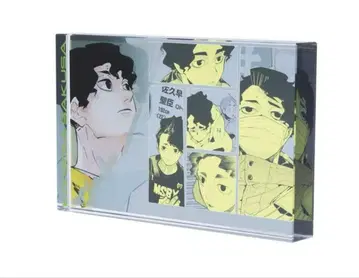 하이큐 아크릴 블록 "HEROES" 사쿠하 세이오
