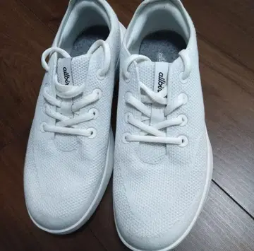 allbirds TreeRunner Go 28.5cm [가격 인하]