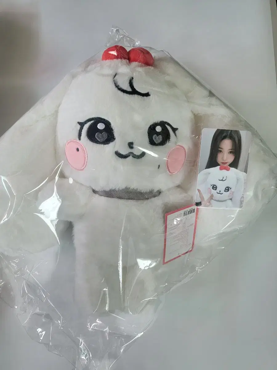 미니브 체리 원영 플러시 인형