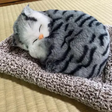 구부러진 고양이 봉제 인형 그레이 장식 인테리어