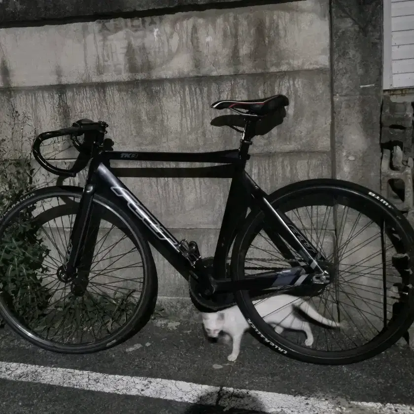 Felt Tk3 Fixie Felt Tk3 For Sale Outlet