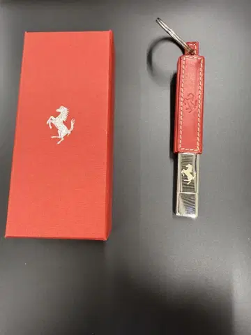Ferrari IDEA USB 키링