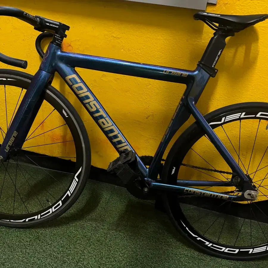 CONSTANTINE 콘스탄틴 Constantine Urbane Chameleon Bernard Purple