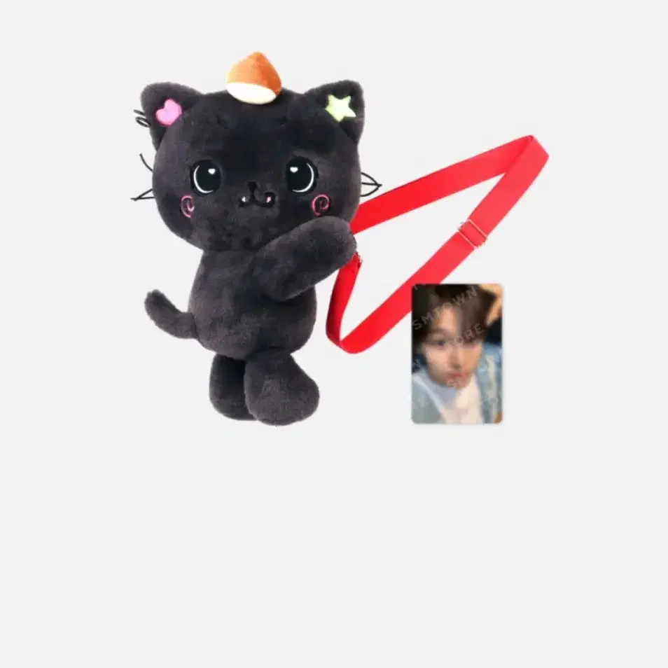 NCT | 엔시티 Nct Wish riku doll bag Kuri bag wts on Bunjang