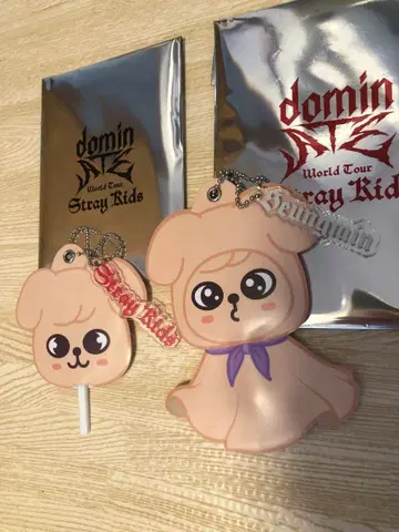 straykids 미니 부채 키링 PuppyM 세트