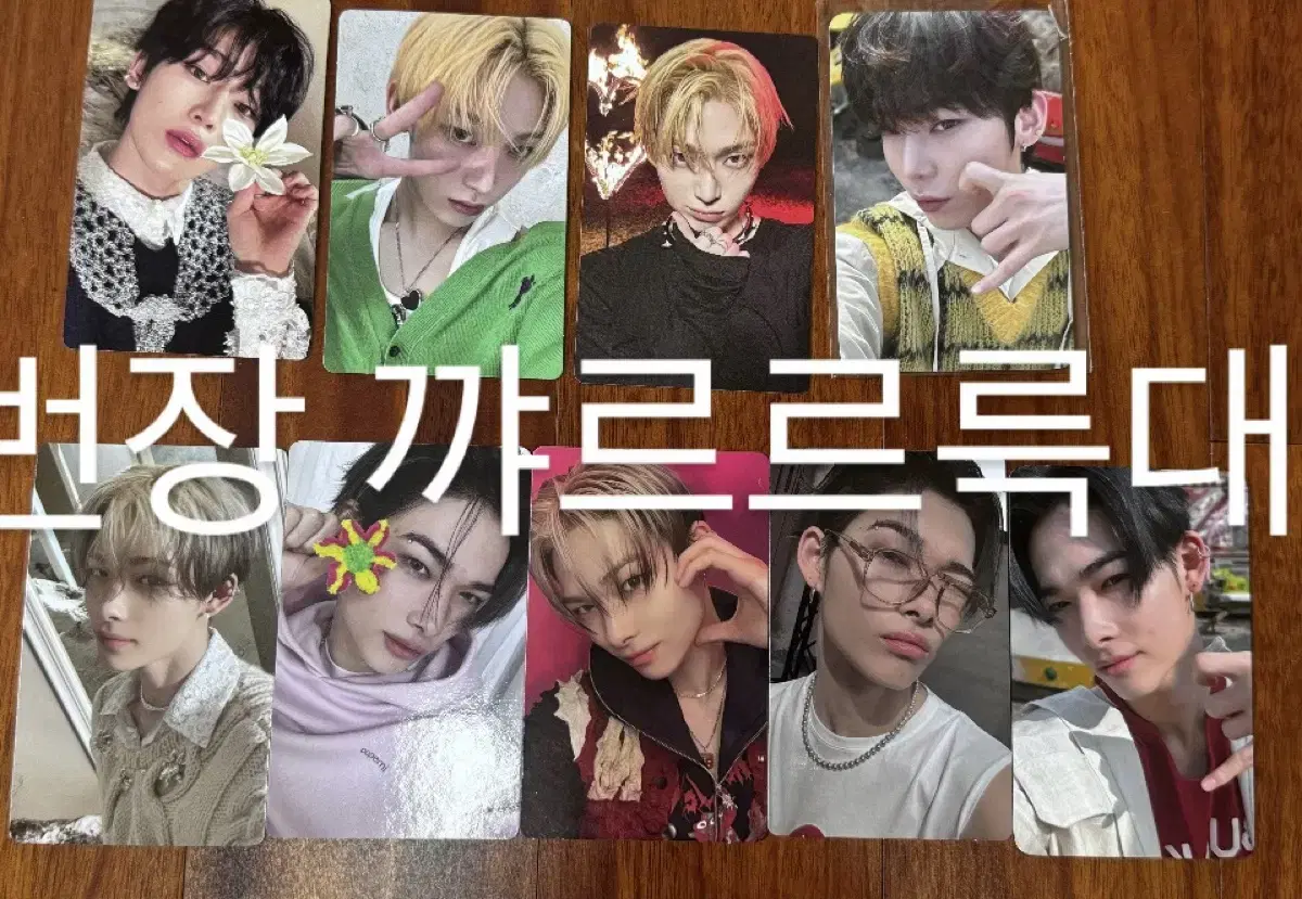 엔하이픈 선우 니키 포카 enhypen