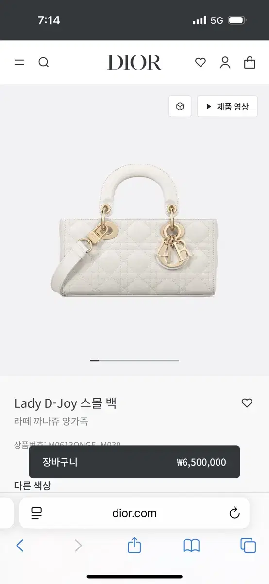 디올 디조이백